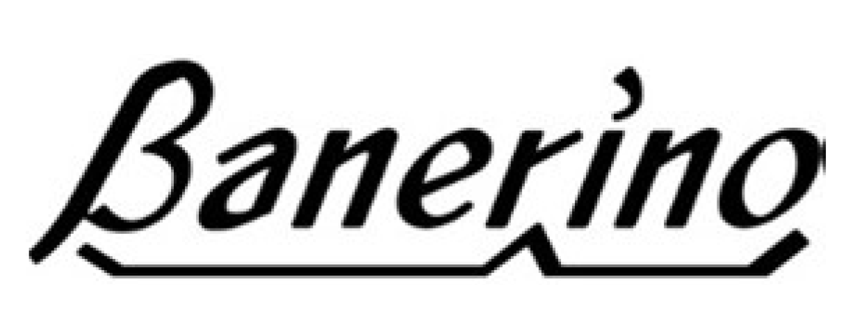 バネリーノロゴ