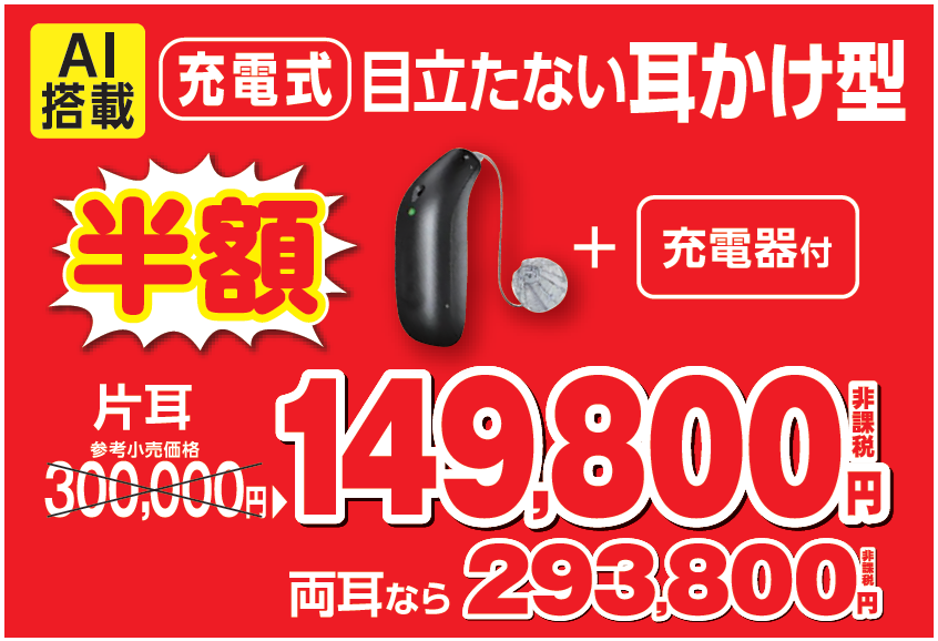 AI  149800/293800　充電式目立たない耳かけ  