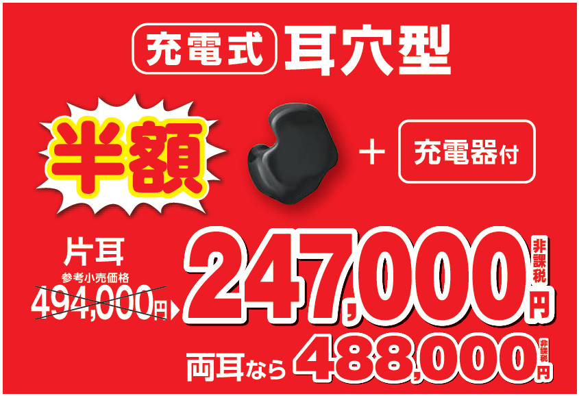 247000/488000  充電式耳穴