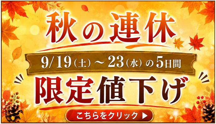 SW限定値下げ